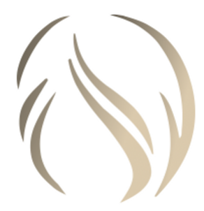 Logo Nissan Coiffure Logo Nissan Coiffure